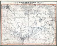 Algonquin Township, McHenry County 1872